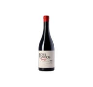 Rosa Santos Família Tinto