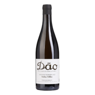 António Vinhas Velhas White
