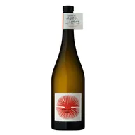 Quinta Da Alorna Amphorae