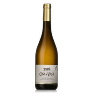 Verde Casa Do Valle Grande Escolha Branco