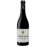 Ribeiro Santo Carlos Lucas 20 Anos Tinto