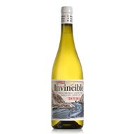 Invincible Nº1 Tinto