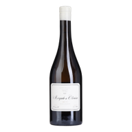 Morgado De Oliveira White