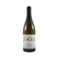 António Vinhas Velhas White