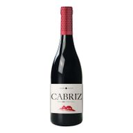 Cabriz Colheita Selecionada 2022 Red Porto