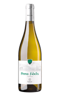 Pinna Fidelis Verdejo