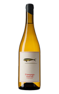 Llampuga Vinícola Branco