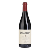Druida