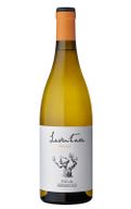 Laventura Malvasia