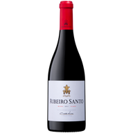 Ribeiro Santo