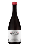 Altos De Antillón Parraleta