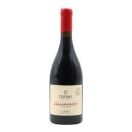 Cortinha Velha Preconceito Red