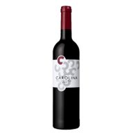 Carolina Tinto