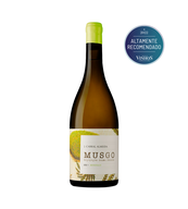 Musgo