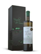 Virgilio De Sousa Edição Especial