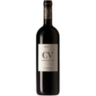 Cv Curriculum Vitae Tinto