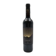 Pessegueiro Aluzé Douro