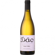 António Vinhas Velhas - Dão