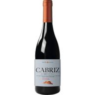Cabriz Reserva Dão Tinto