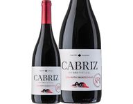 Cabriz Dão Biologico White