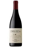 Druida