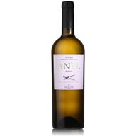 Anel - Marcio Lopes White