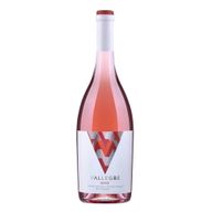 Vallegre Douro Rosé