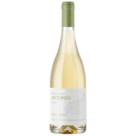 Quinta De Stº António Branco