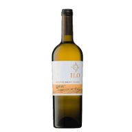 H.O. Moscatel Galego White