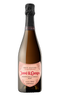 Juvé &Amp; Camps Reserva De La Familia Espumante