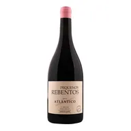 Pequenos Rebentos Atlântico