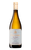 Contino Blanco