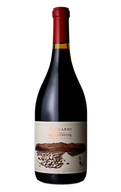 Zuccardi Finca Piedra Infinita Red