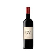 Cv - Curriculum Vitae Tinto
