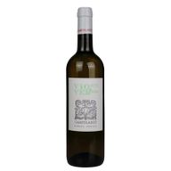 Campolargo Viognier + Verdelho