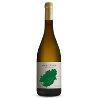 Carlos Raposo Impecável