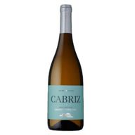 Cabriz Sauvignon Branco