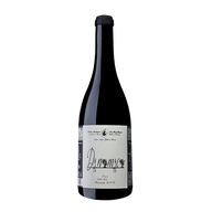 Filipa Pato Dinamica