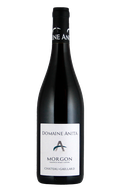 Domaine Anita Château-Gaillard Morgon