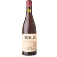 Caminhante Dao