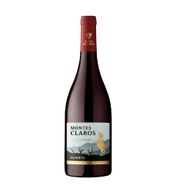 Montes Claros
