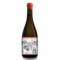 Phaunus Amphora Palhete Rosé