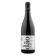 Álvaro Castro Tinto