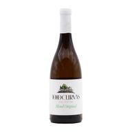Curvas Chardonnay Alvarinho Verde Branco