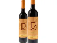 Bridão Syrah Doc Tejo Tinto