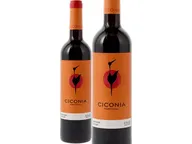 Ciconia Regional Alentejo Tinto