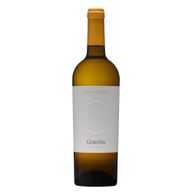 Grainha Reserva Douro Branco