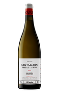 Anima Mundis Cantallops