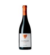 Andreza Tinto