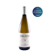 Druida Branco